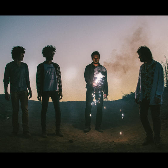 Boogarins