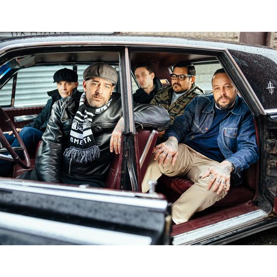 Street Dogs