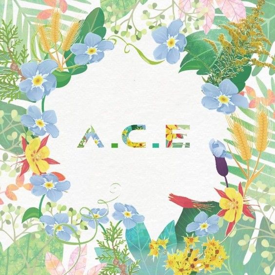 A.C.E.