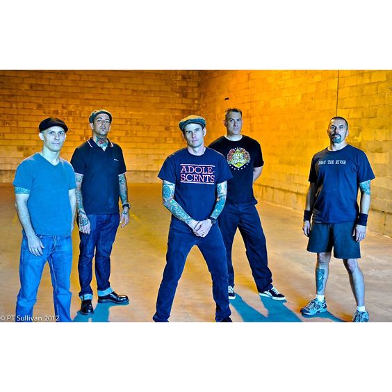The Bruisers