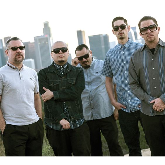The Aggrolites
