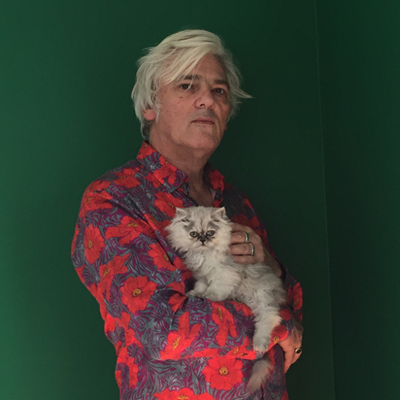 Robyn Hitchcock
