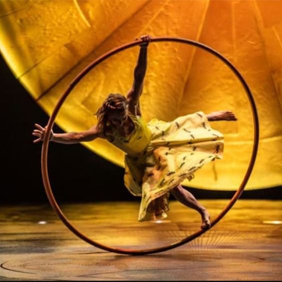 Cirque du Soleil Luzia