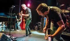 Toadies