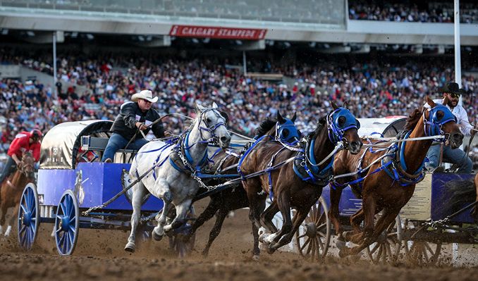 Calgary Stampede 2022 Schedule Tuesday, July 12 - 2022 Calgary Stampede Evening Show Tickets In Calgary At Calgary  Stampede Grandstand On Tue, Jul 12, 2022 - 7:45Pm