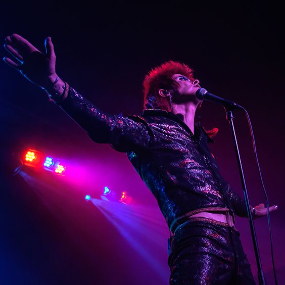 Absolute Bowie