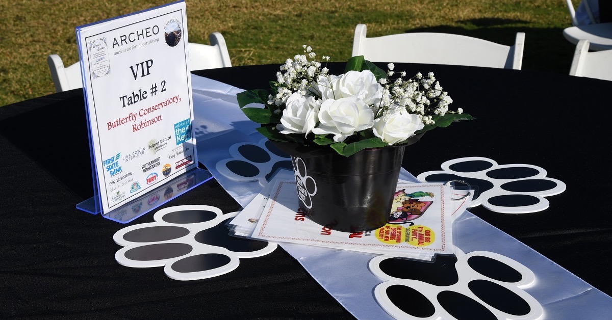 Spring Social