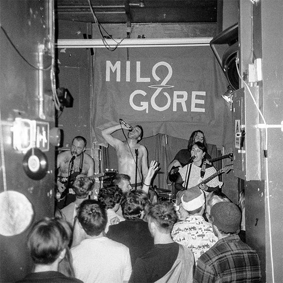 Milo Gore