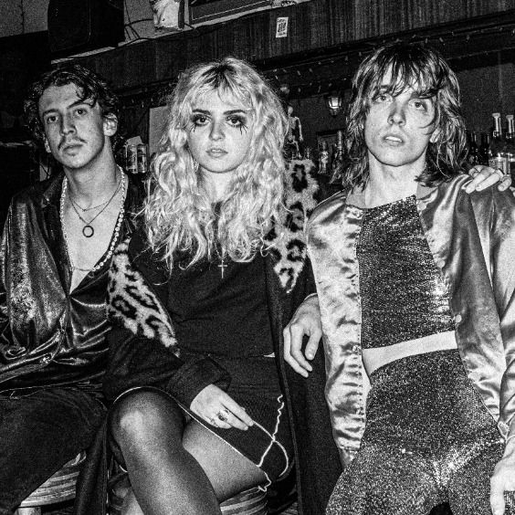 The Velveteers