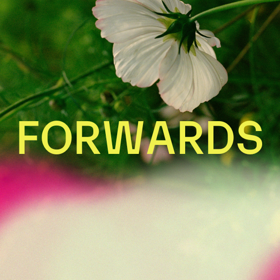 FORWARDS Bristol