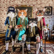 Fantastic Cat