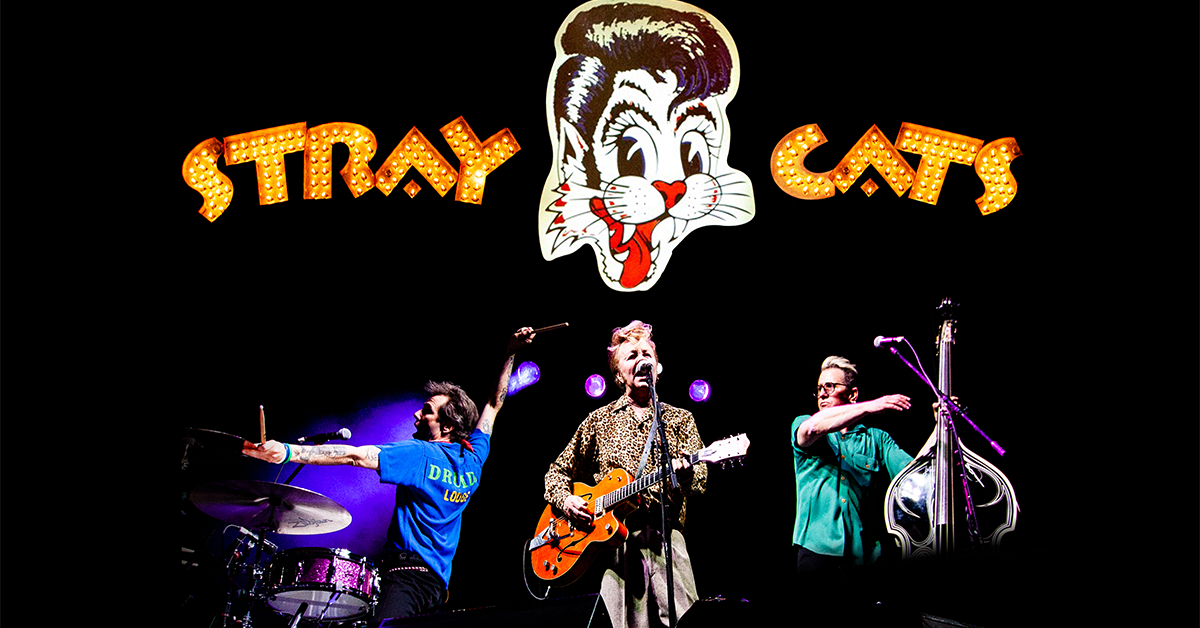 洋楽 STRAY CATS TRIBUTE ASIA LADY LUCK 高級感 STRAY YouTube - LUCK〜 LADY TRIBUTE〜ASIA CATS 洋楽