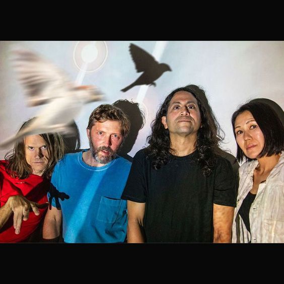 Deerhoof