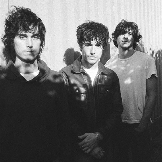 Wallows