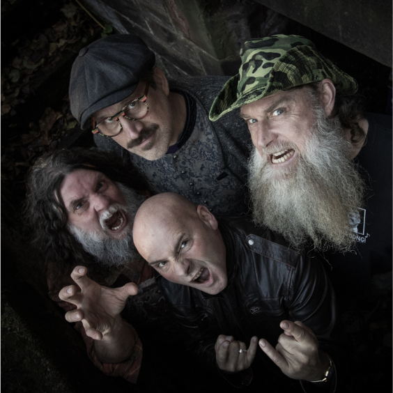 Hayseed Dixie
