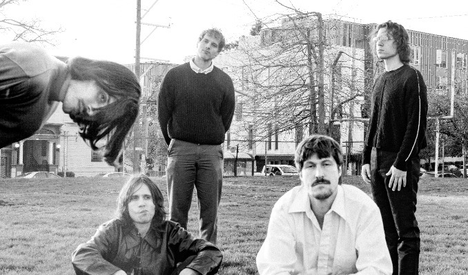 More Info for Post Animal