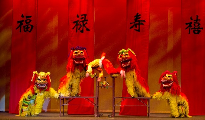 More Info for THE PEKING ACROBATS