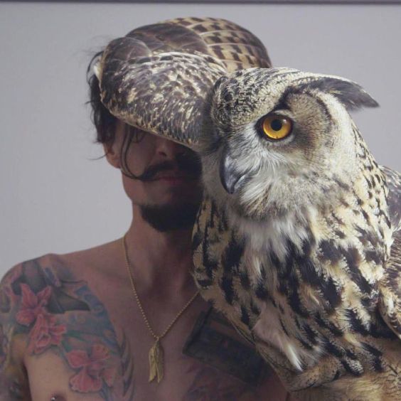 Justin Hawkins Rides Again