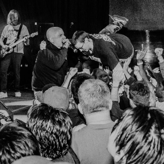Gorilla Biscuits