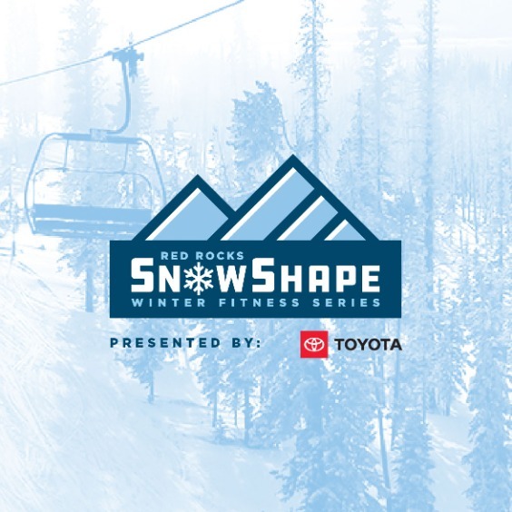 More Info for SnowShape: Stability