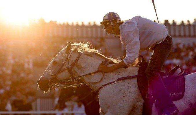 Friday, July 3 - 2026 Calgary Stampede Evening Show