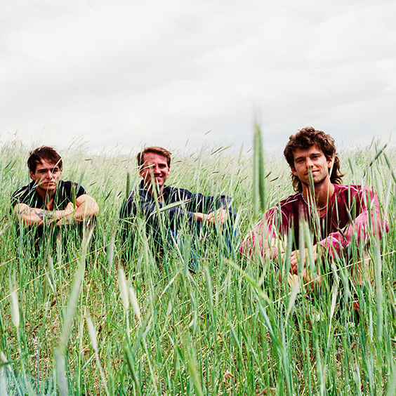 <a href="https://www.axs.com/artists/1113758/the-moss-tickets"></a>