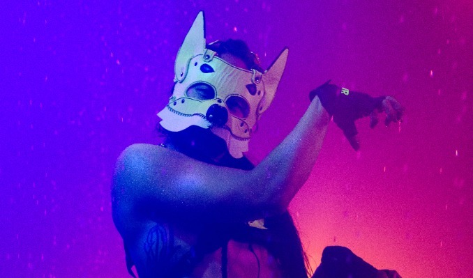 More Info for IO Fox 