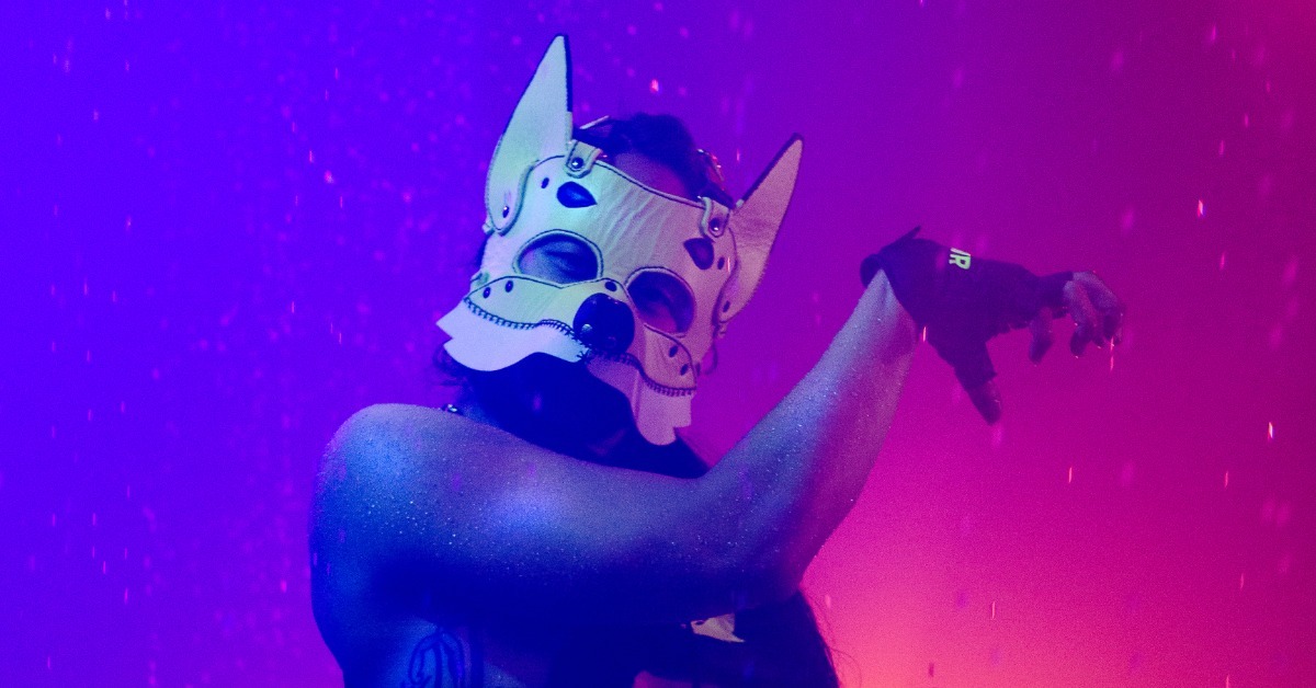 IO Fox 