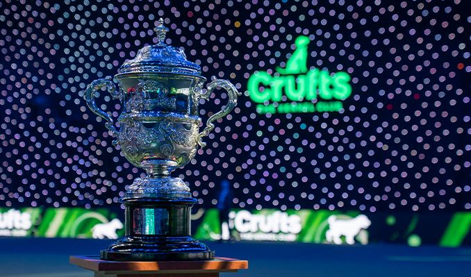 Vivid Crufts 2026: Dogs Arrive For World Famous Show Capture in HD Vivid Crufts 2026: Dogs Arrive For World Famous Show Capture in HD