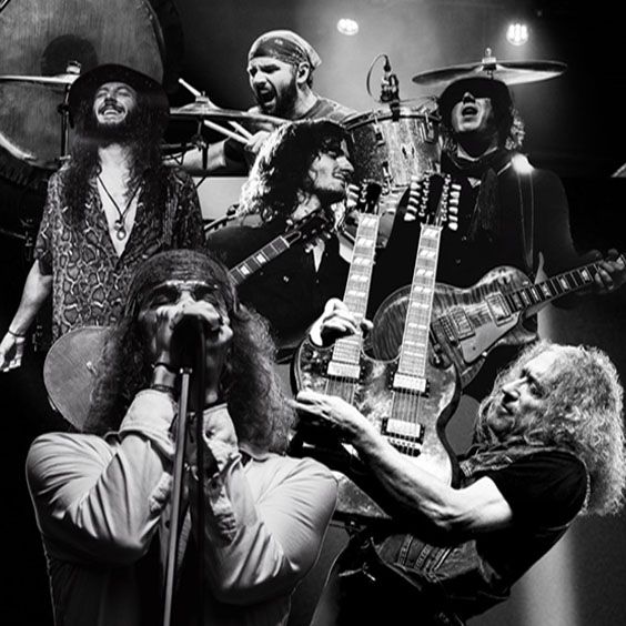 More Info for Get The Led Out