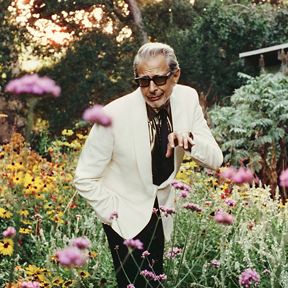 jeff-goldblum-the-mildred-