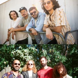 Eggy & Taper's Choice