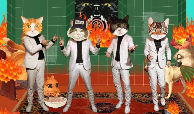 Fantastic Cat at Row One Stage in Nashville, TN