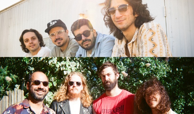 More Info for Eggy & Taper's Choice