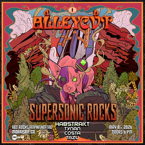 More Info for ALLEYCVT PRESENTS: SUPERSONIC ROCKS