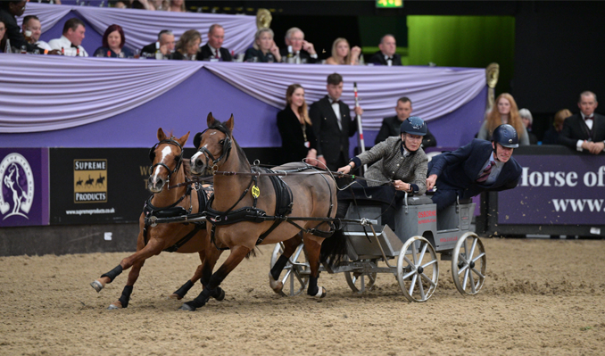 HOYS 2026 - Friday 9th October - Gold Ticket