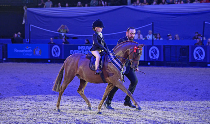 HOYS 2026 - Sunday 11th October - Evening