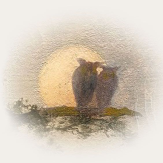 More Info for Paul Simon