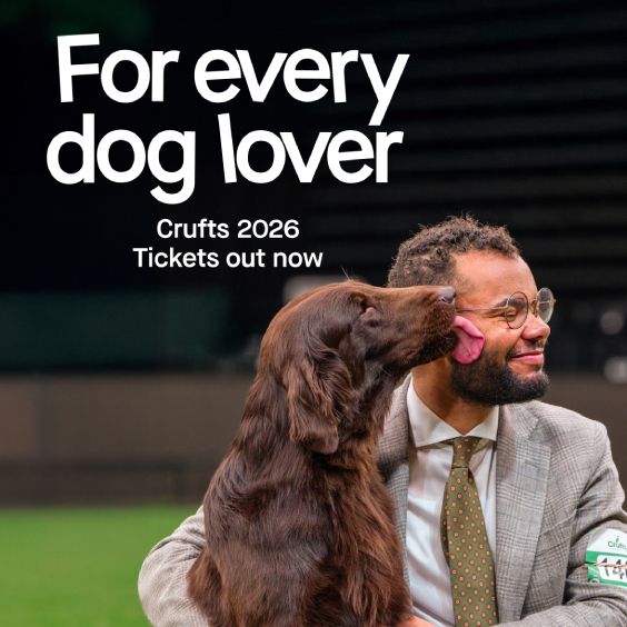 Crufts