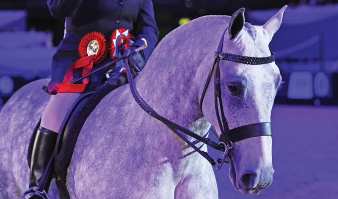 HOYS 2026 - Friday 9th October - Shopping Only