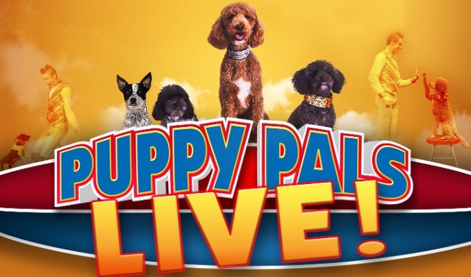 More Info for Puppy Pals