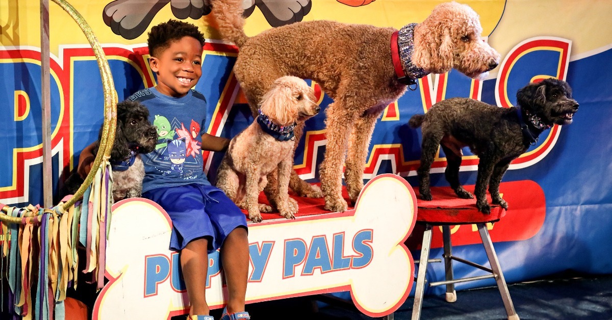 Puppy Pals 