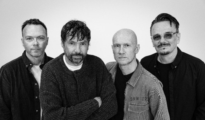 The Pineapple Thief