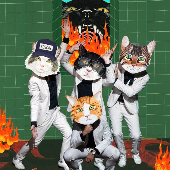 Fantastic Cat