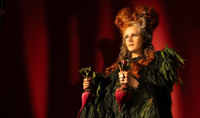 More Info for Neko Case