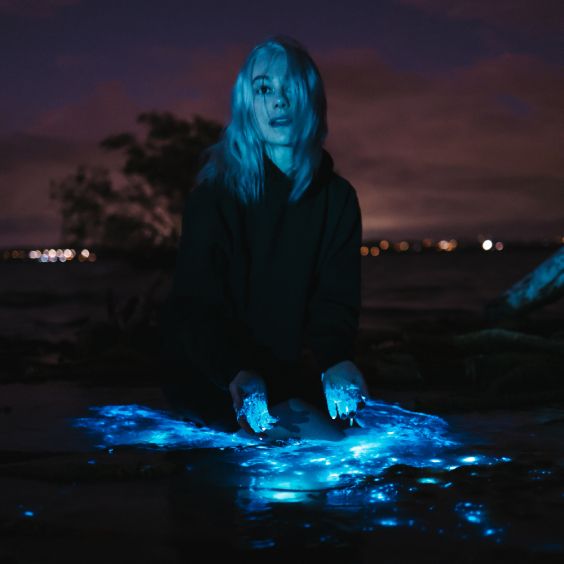 Phoebe Bridgers