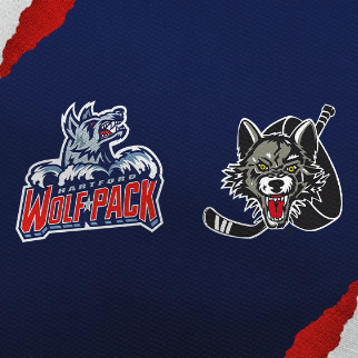 Hartford Wolf Pack v Chicago Wolves - Hartford - PeoplesBank Arena