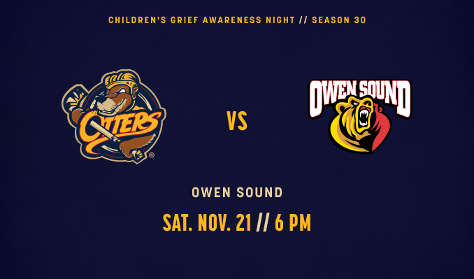 More Info for Erie Otters vs. Owen Sound Attack