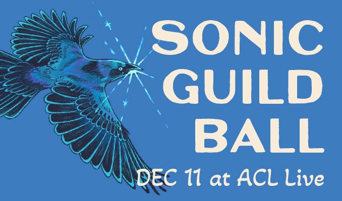 Sonic Guild Ball